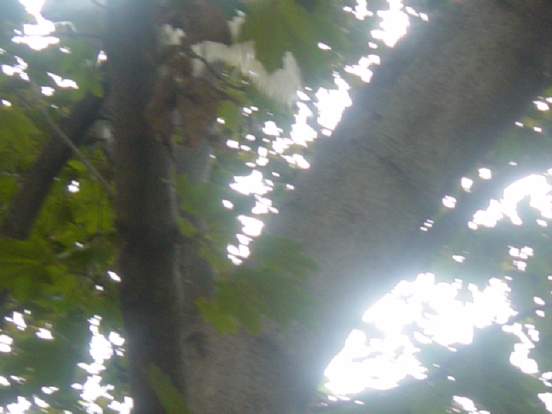 2004-09-11 15-08-40.JPG